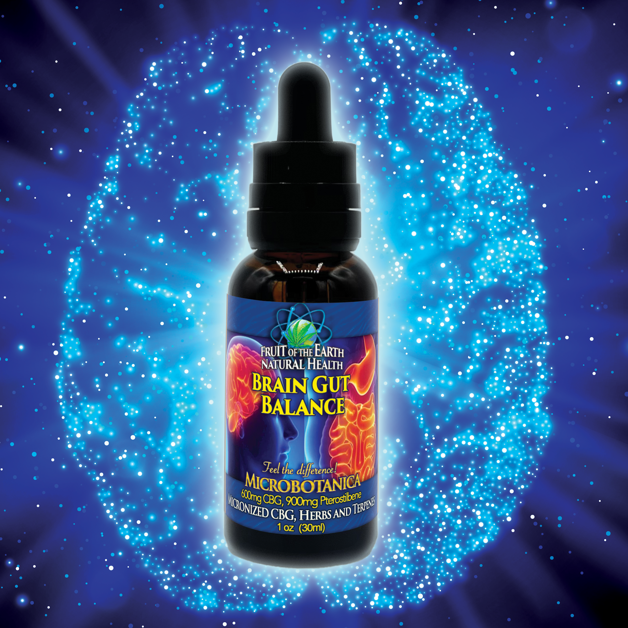 website image brain gut